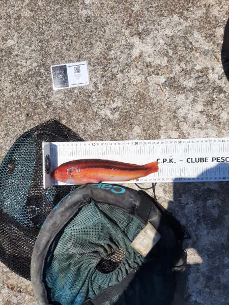 Fish Measure Picture
